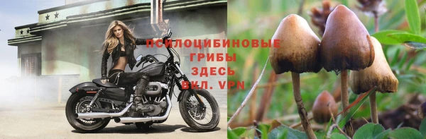 спиды Белоозёрский
