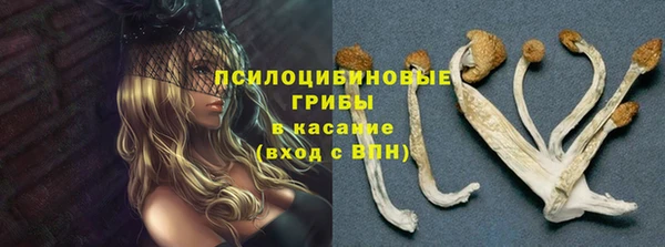 прущая мука Белокуриха