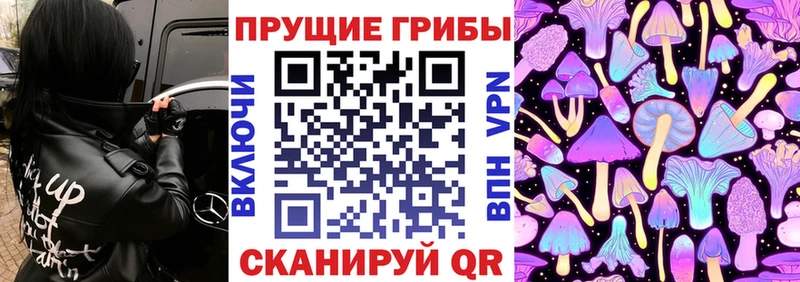 Псилоцибиновые грибы прущие грибы Гороховец